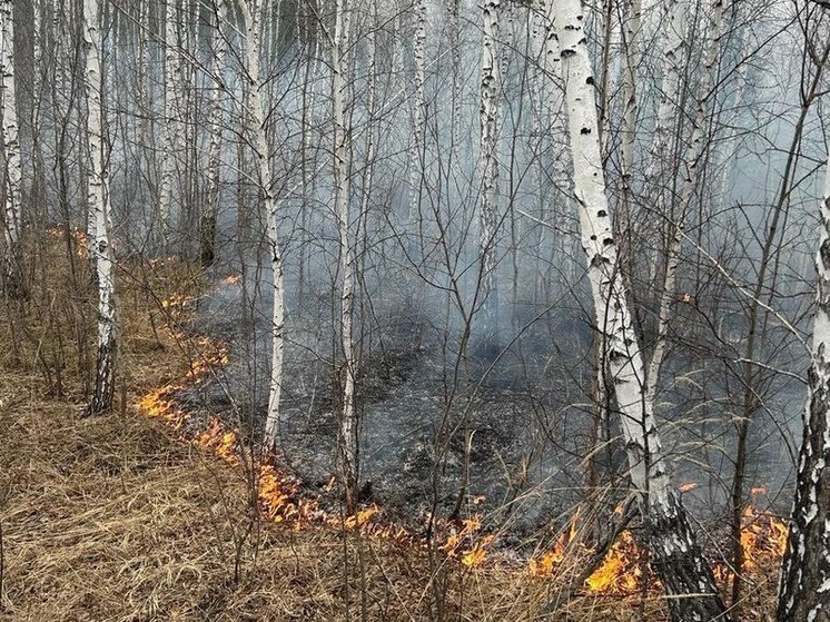 В лесах Приангарья потушили один пожар