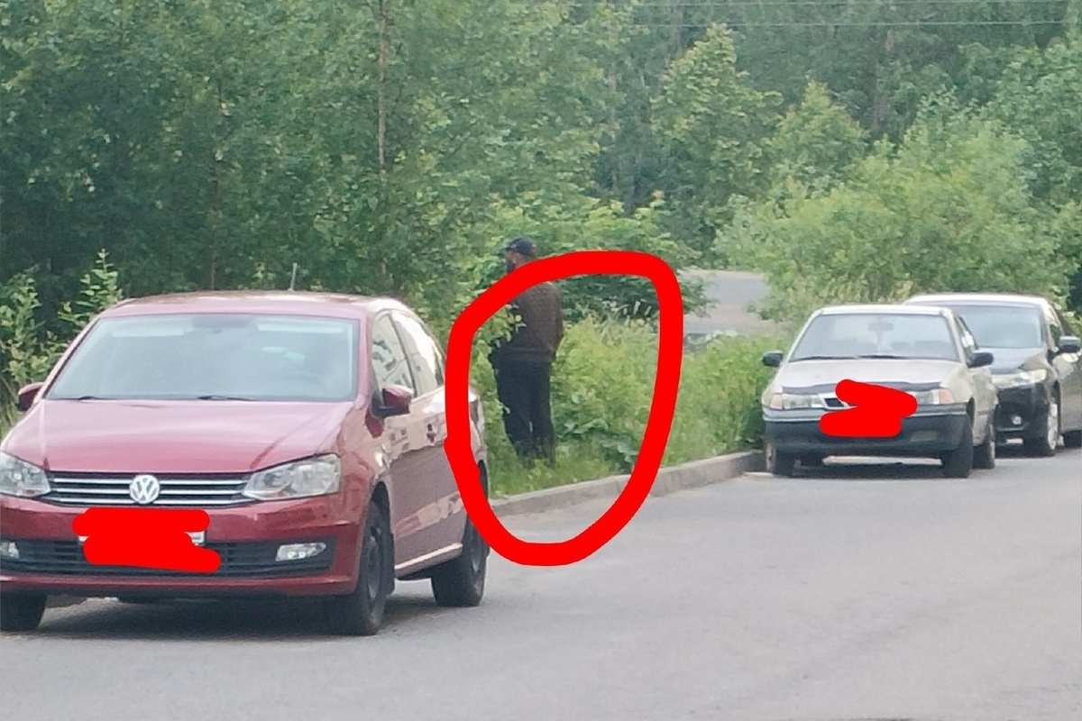 Соцсети: Странный мужчина три часа фотографировал прохожих в Петрозаводске  - МК Карелия