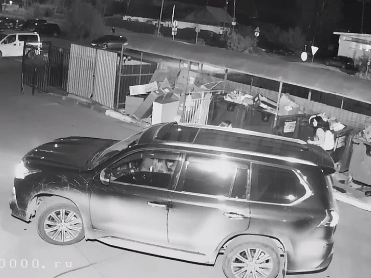 В Новосибирске водитель Lexus расстрелял девушек во дворе