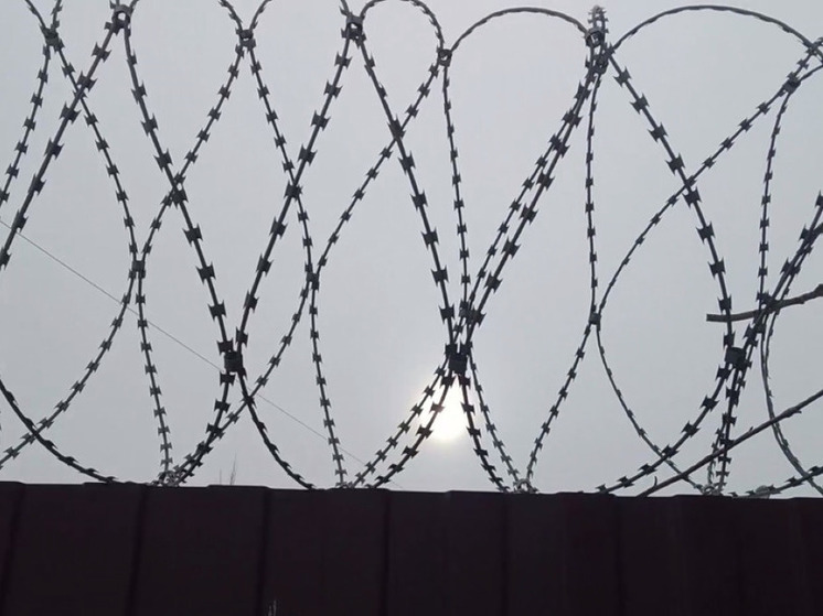 В Подмосковье сын обокрал отца на сумму порядка 270 тысяч рублей