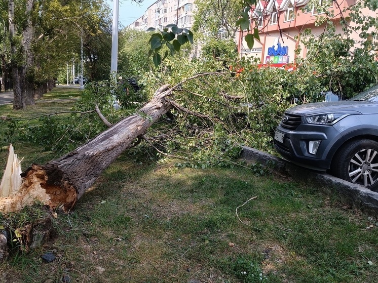 Свердловчан экстренно предупредили о сильных ливнях и крупном граде