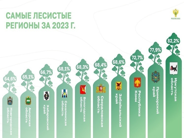 Новгородская область вошла в топ-10 самых лесистых регионов России