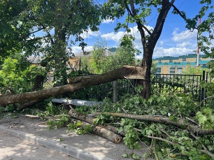 Глава Смоленска создал оперативный штаб по ликвидации последствий непогоды