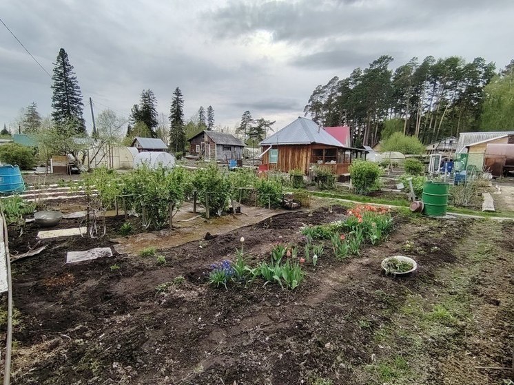 Агроном Шубина из Новосибирска рассказала, как бороться с плодожоркой