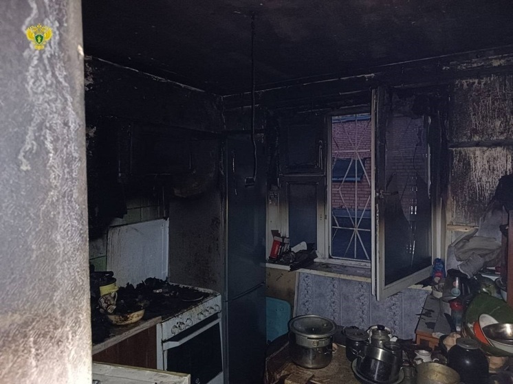 Прокуратура: мужчина и его мать погибли при пожаре на востоке Москвы