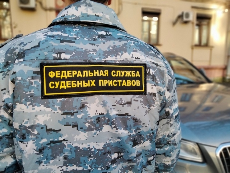 Житель Всеволожска накопил 457 штрафов ГИБДД и лишился иномарки