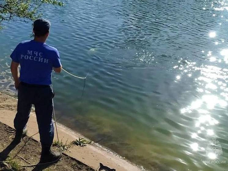 В Макеевке на водоеме утонул местный житель