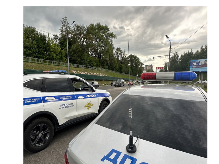 Госавтоинспекция Смоленска проведет «сплошные проверки»