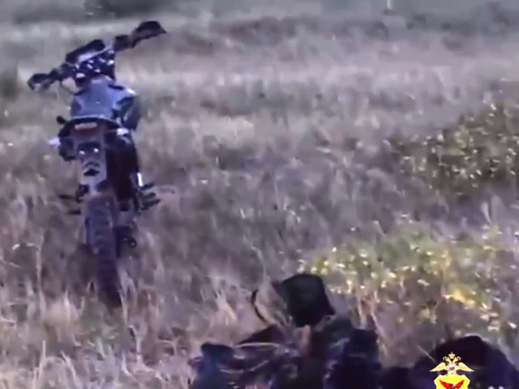 Мотоциклист с пятью мешками конопли удирал от полицейских по лесу в Забайкалье