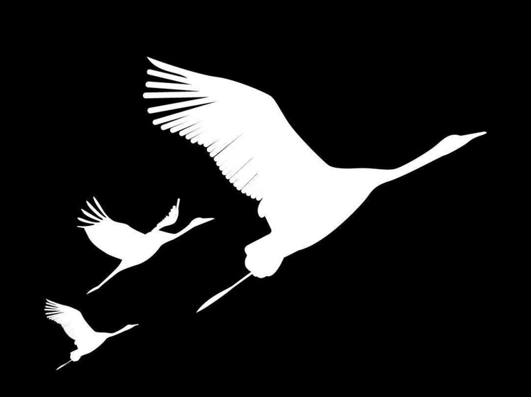 Смоленск выразил соболезнования Севастополю