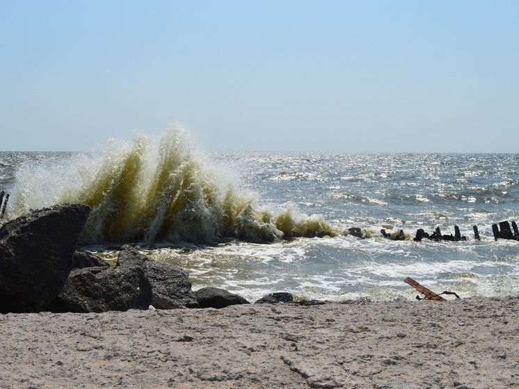 Сотрудники МЧС ДНР спасли унесшую в Азовское море серфингистку