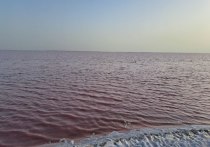 О розовых соленых озерах в Херсонской области, в частности - об уникальном Лемурийском озере, которое по своим свойствам превосходит Мертвое море в Израиле  