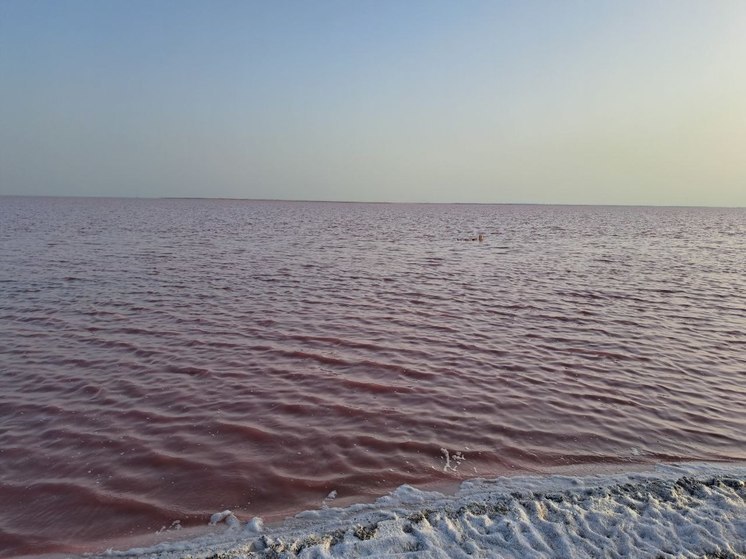 На соленых берегах: Розовые озера Херсонщины ждут туристов