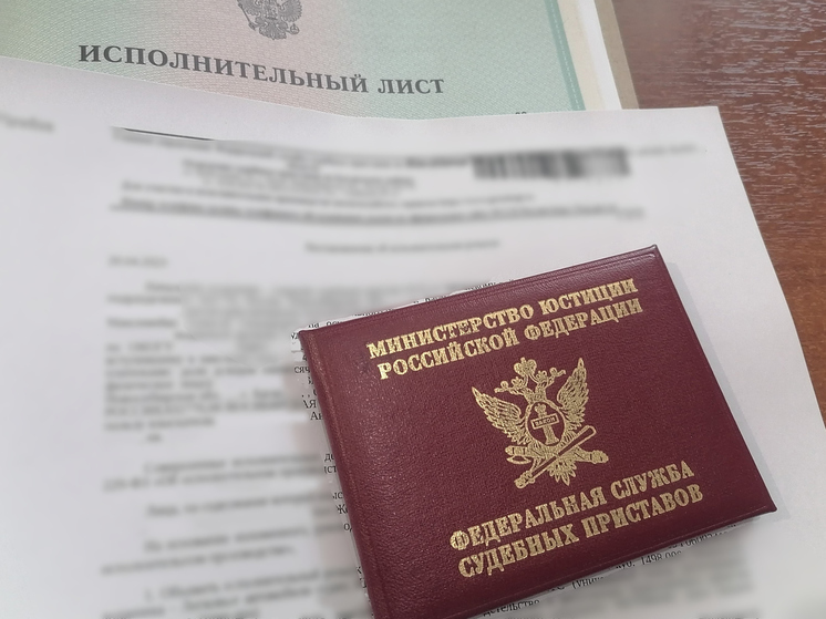 В Новосибирске поймали сбежавшую от 1 млн рублей алиментов мать шестерых детей