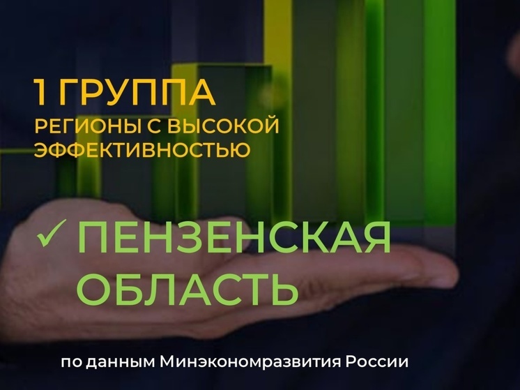 Пензенские МФЦ показали высокую эффективность