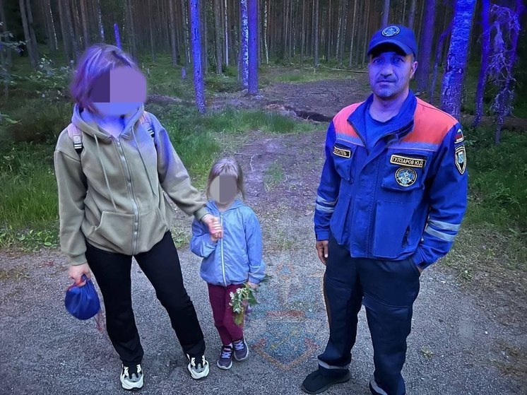 Спасатели искали в лесу в Приозерском районе женщину с ребенком