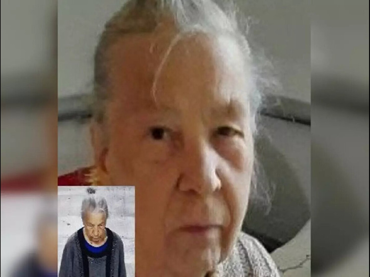 На Дону разыскивают пропавшую 80-летнюю жительницу Москвы