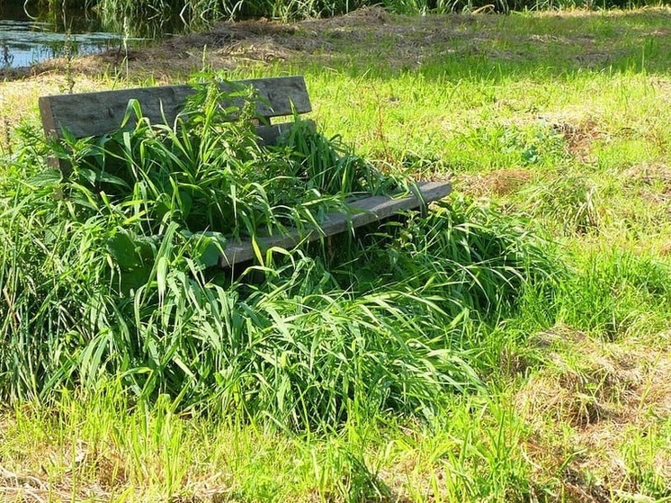 Покос травы и ремонт кровель обсудили власти ДНР на оперативном заседании