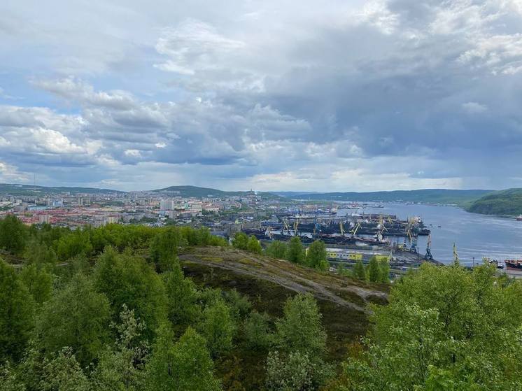 Игорь Морарь анонсировал график приема депутатов в Мурманске