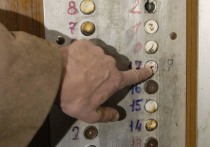 В Екатеринбурге полиция задержала 48-летнего гражданина Киргизии, который подозревается в совершении насильственных действий сексуального характера в отношении ребенка