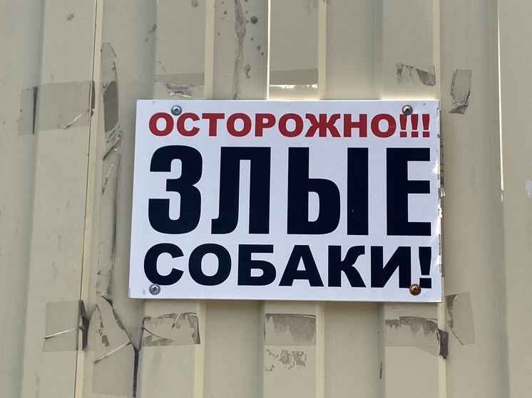 Владельца собаки, покусавшей ребенка в Саратове, отправили на исправработы