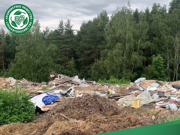 В Промышленном районе Смоленска ликвидирована масштабная свалка мусора