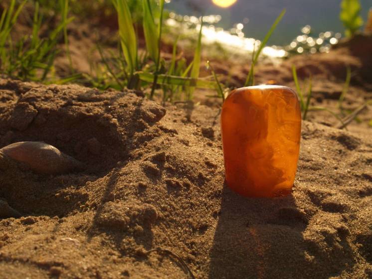 Калининградский подросток нашел на берегу Балтийского моря доисторическую осу в янтаре