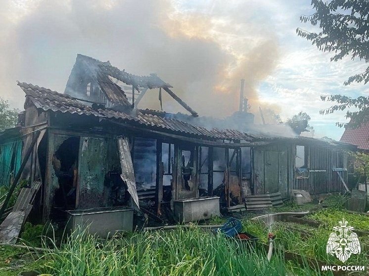 Молния вызвала пожар в Починке