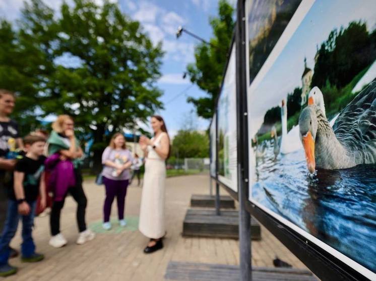 В Москве открылась выставка о Торопце Тверской области