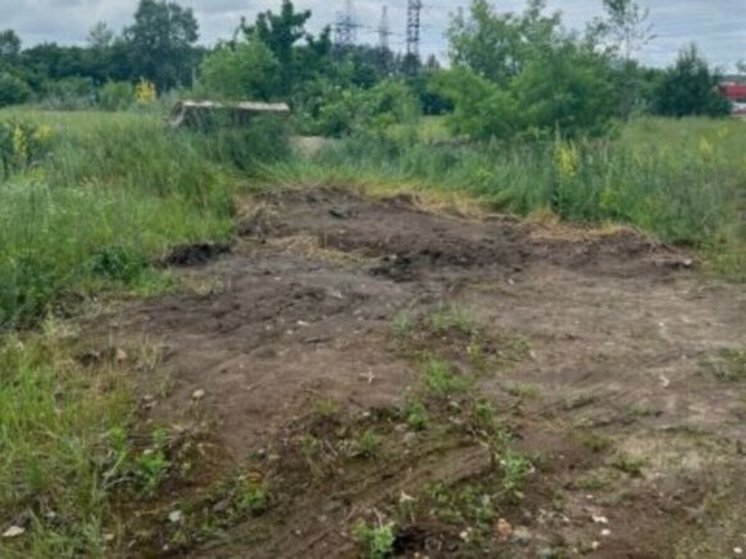 Из лесов в Курске вывезли около 57 тонн мусора