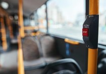 В Московской области водитель автобуса потерял управление и съехал в кювет