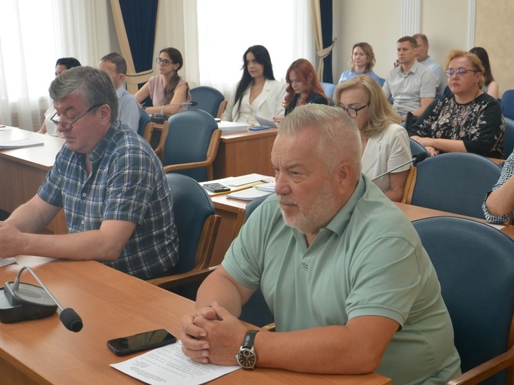 КСП отчиталась перед Воронежской городской Думой за выявленные нарушения на сумму 3 млрд рублей