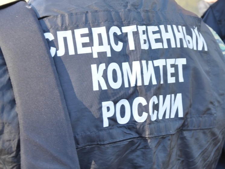 Покрывавшее мигрантов криминальное трио осудят в Ноябрьске