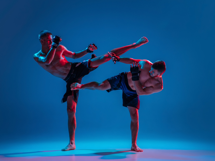 В Йошкар-Оле пройдут соревнования  по традиционным видам боевых искусств