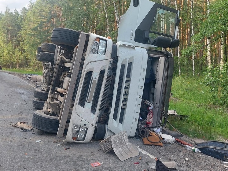 В ДТП в Клепиковском районе пострадал 36-летний водитель Iveco