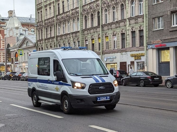 Уголовное дело возбудили против полицейских после жалобы жителя Петербурга