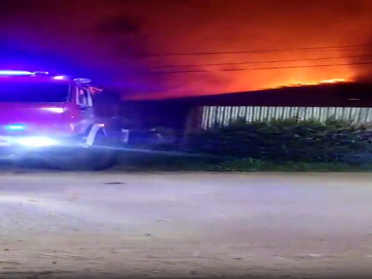 Конюшня сгорела ночью в подмосковных Мытищах