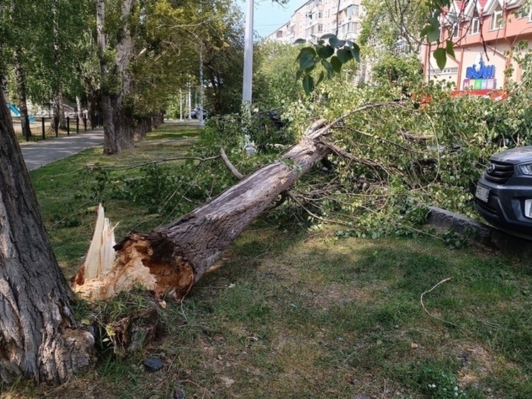 Обрушившийся на Курганскую область шторм повредил десятки строений