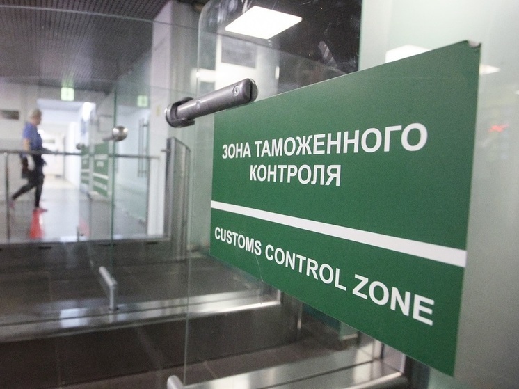 Baza: гражданка Вьетнама задержана в Домодедово при попытке провоза в Россию радиоактивных меток