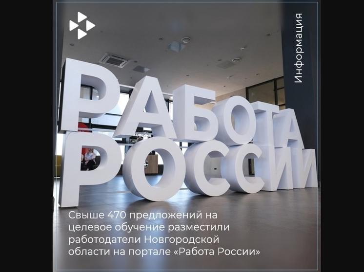 Новгородские работодатели разместили свыше 470 предложений на целевое обучение