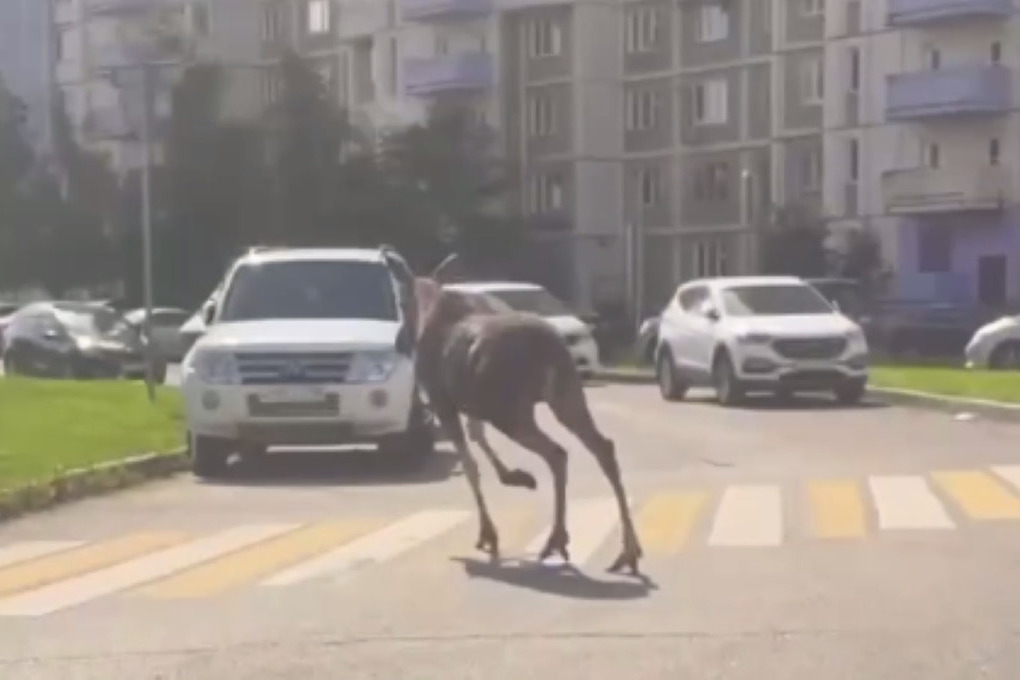 Перепуганные пассажиры сняли на видео отвалившийся иллюминатор самолёта