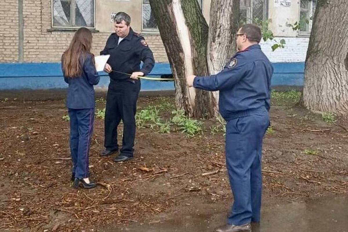 В Балакове упавшая ветка тополя убила женщину - МК Саратов