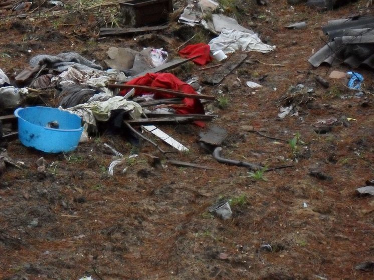 В Ржевском округе Тверской области обнаружили свалку площадью больше трех гектаров