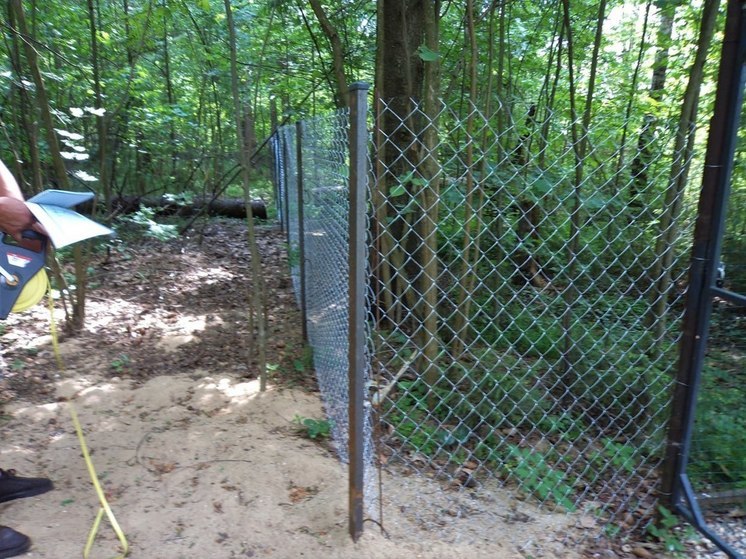 Свыше 500 случаев лесных самозахватов выявили в Подмосковье