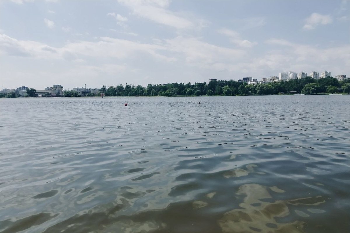 Белгородка пожаловалась на далеко стоящее укрытие на пляже в Шебекино - МК  Белгород