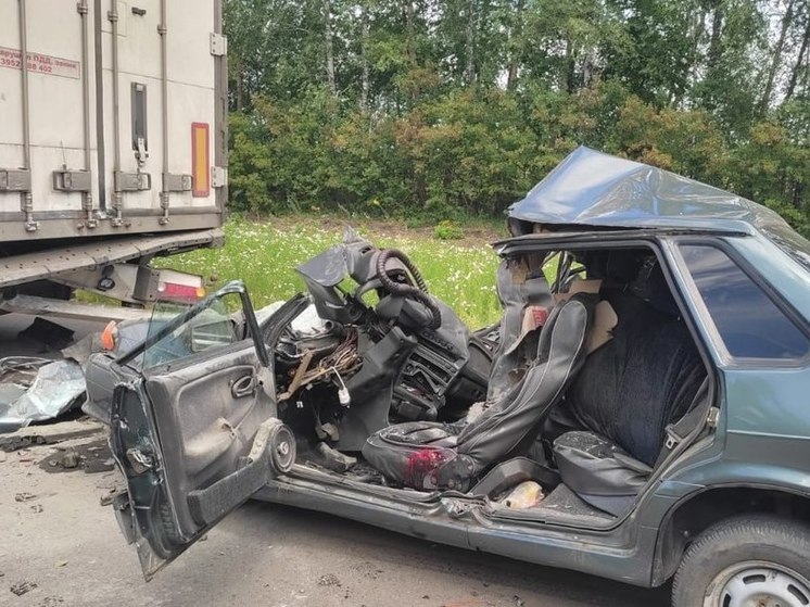 В Белинском районе произошло смертельное ДТП на трассе «Тамбов-Пенза»