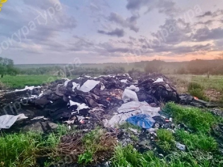 В Киреевском районе нашли незаконную свалку отходов