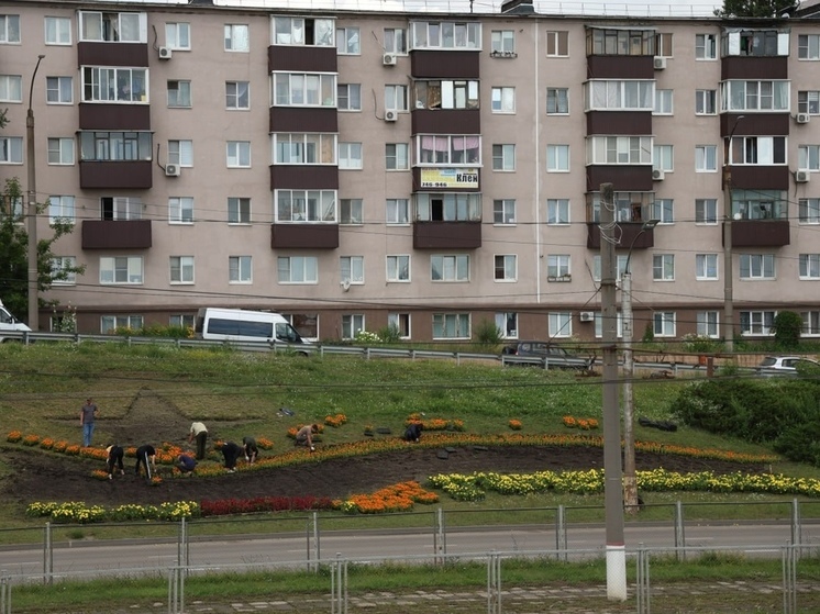 В Курске создадут георгиевскую ленту из 16 тысяч бархатцев