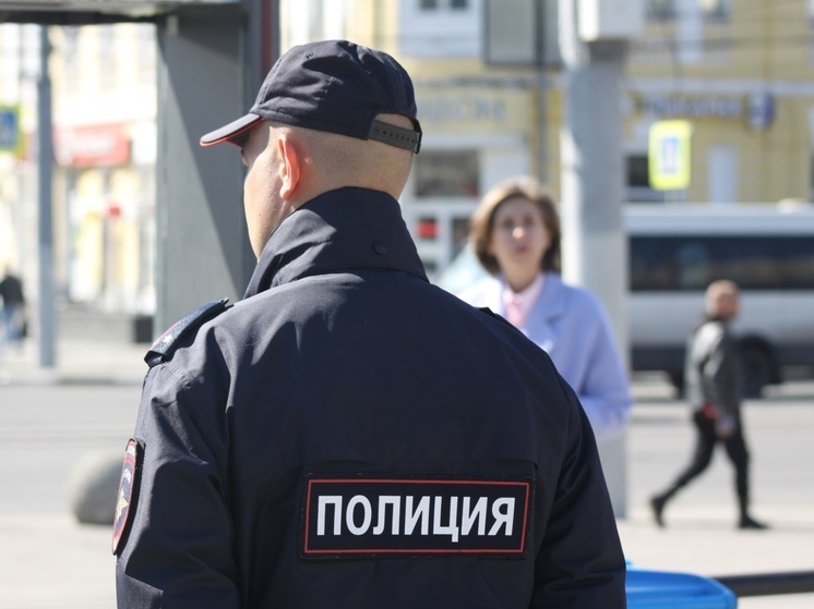 В Тульской области полиция задержала магазинную воровку