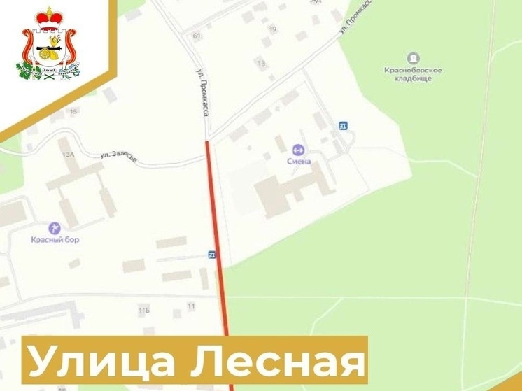 В 2024 году по нацпроекту запланирован ремонт улицы Лесная в Заднепровье